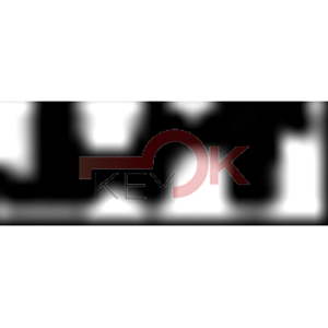 ERREBI - C46LP - SPECIALI NAZIONALI TESTA PLAST. - 07A-OTT