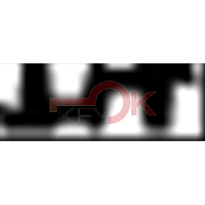 ERREBI - C51LP - SPECIALI NAZIONALI TESTA PLAST. - 07A-OTT