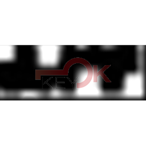 ERREBI - SF-C25T - STYLCOLOR 2 LATI SPECIALI - 57C-OTT