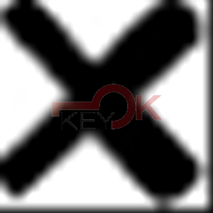 ERREBI - BYX100 - CRUCIFORMI FERRO - 12A-ACC