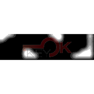 ERREBI - AU66P43 - SPECIALI GAMMA DI SERVIZIO TESTA PLAST. - 20A-ACC