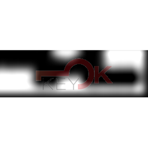 ERREBI - AU89RP155 - GAMMA DI SERVIZIO AUTO TESTA PLAST. - 20S-ACC