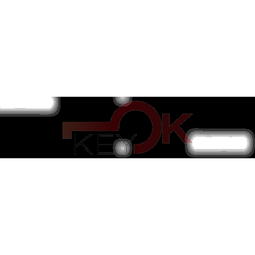 ERREBI - CY60P103 - AUTO SPECIALI U.S.A TESTA PLAST. - 21F-ACC