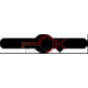 ERREBI - 1LIN2* - DOPPIA MAPPA ESTERO STANDARD - 40A-OTT