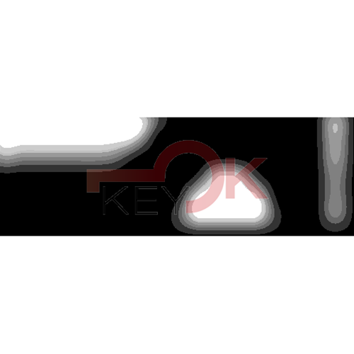 ERREBI - NE62P39 - GAMMA DI SERVIZIO AUTO TESTA PLAST. - 20S-ACC