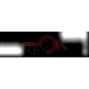 ERREBI - SZ1RP31 - PROFILI AUTO TESTA PLAST. - 20A-ACC