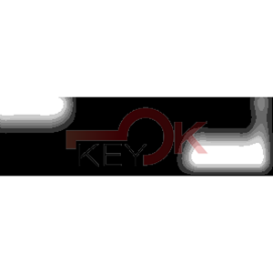 ERREBI - SZ5P51 - PROFILI AUTO TESTA PLAST. - 20A-ACC