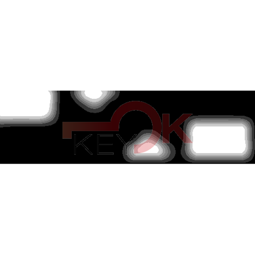 ERREBI - SZ6P31 - PROFILI AUTO TESTA PLAST. - 20A-ACC