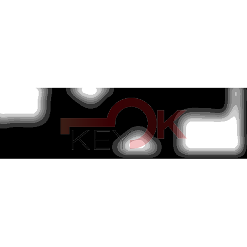 ERREBI - SZ7P31 - GAMMA DI SERVIZIO AUTO TESTA PLAST. - 20S-ACC