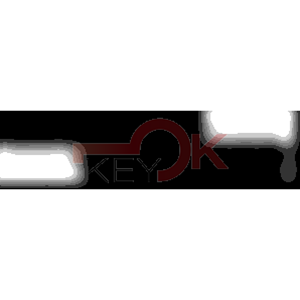 ERREBI - SZ8RP51 - PROFILI AUTO TESTA PLAST. - 20A-ACC