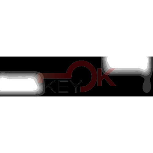 ERREBI - SZ8RP51 - PROFILI AUTO TESTA PLAST. - 20A-ACC