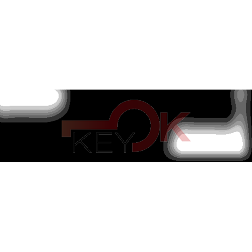 ERREBI - SZ9P31 - GAMMA DI SERVIZIO AUTO TESTA PLAST. - Acciaio - Steel