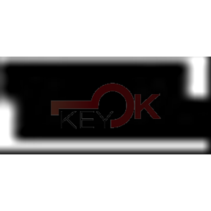 ERREBI - T00HF55PA* - AUTO SPECIALI SENZA TRANSPONDER - 23B-OTT