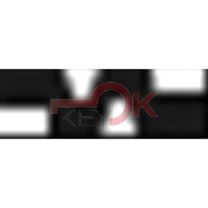 ERREBI - T00HYN4RP* - AUTO SENZA TRANSPONDER - 23A-OTT