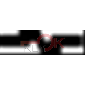 ERREBI - T00HYN6P* - AUTO SENZA TRANSPONDER - 23A-OTT