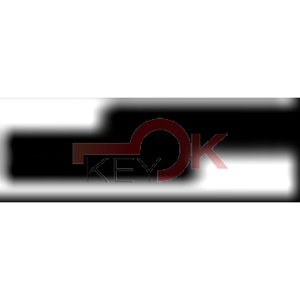 ERREBI - T00KW16P* - AUTO SENZA TRANSPONDER - 23A-OTT