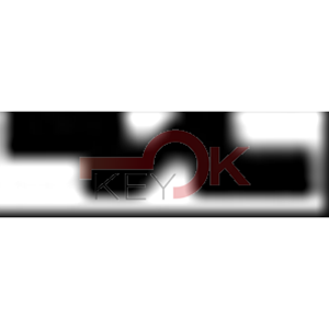 ERREBI - T00MIT8RP* - AUTO EXTRA SENZA TRANSPONDER - 23A-OTT