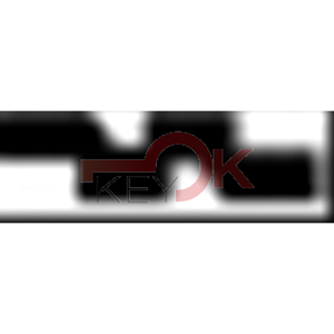 ERREBI - T00MZ12RP* - AUTO EXTRA SENZA TRANSPONDER - 23A-OTT