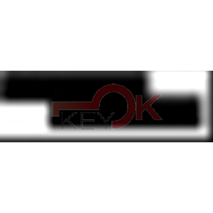 ERREBI - T00MZ23RP* - AUTO SENZA TRANSPONDER - 23A-OTT