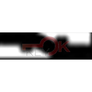 ERREBI - T00NE61P* - AUTO SENZA TRANSPONDER - 23A-OTT