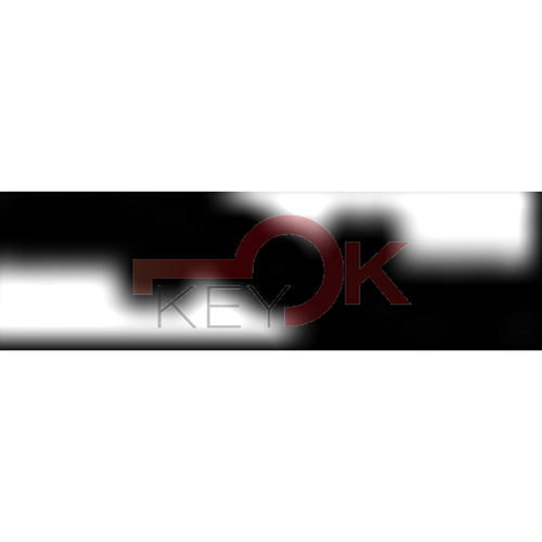 ERREBI - T00NE61P* - AUTO SENZA TRANSPONDER - 23A-OTT