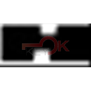 ERREBI - T00NE70P. - AUTO SPECIALI SENZA TRANSPONDER - 23B-ALP