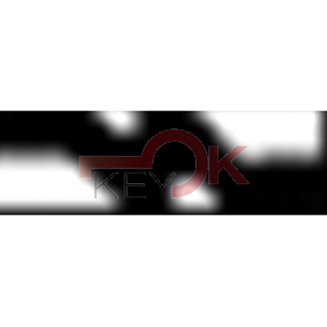 ERREBI - T00NE80P - AUTO SENZA TRANSPONDER - 23A-OTT