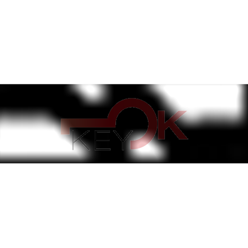 ERREBI - T00NE80P - AUTO SENZA TRANSPONDER - 23A-OTT