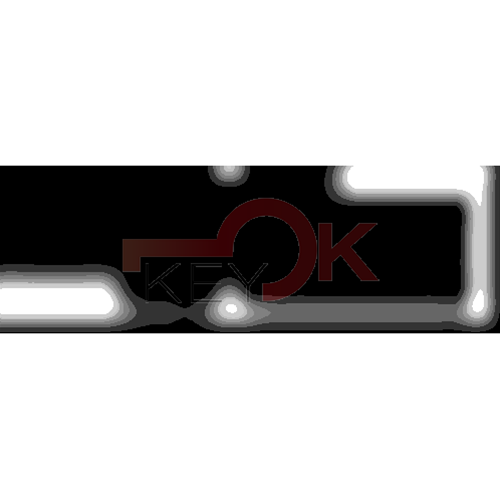 ERREBI - T00NS11RP - AUTO SENZA TRANSPONDER - 23A-OTT