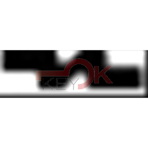 ERREBI - T00PT1RP* - AUTO SENZA TRANSPONDER - 23A-OTT