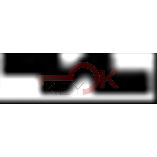 ERREBI - T00PT1RP* - AUTO SENZA TRANSPONDER - 23A-OTT