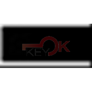 ERREBI - T00SUB1P* - AUTO SPECIALI SENZA TRANSPONDER - 23B-ALP