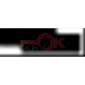 ERREBI - T00SZ15P* - AUTO SENZA TRANSPONDER - 23A-OTT