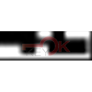 ERREBI - T00SZ16RP* - AUTO SENZA TRANSPONDER - 23A-OTT