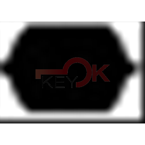 ERREBI - T00TB2P* - AUTO SPECIALI SENZA TRANSPONDER - 23S-ALP