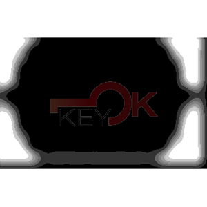 ERREBI - T00TB4P - AUTO SPECIALI SENZA TRANSPONDER - 23B-OTT