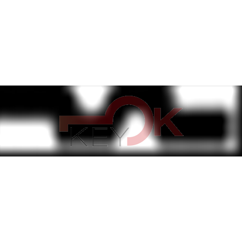 ERREBI - T00TY40RPA* - AUTO SENZA TRANSPONDER - 23A-OTT