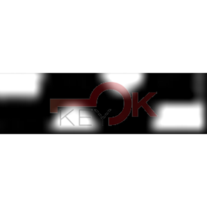 ERREBI - T00TY42PA* - AUTO SENZA TRANSPONDER - 23A-OTT