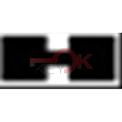 ERREBI - T00TY43P* - AUTO SPECIALI SENZA TRANSPONDER - 23B-OTT