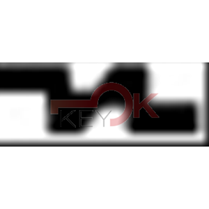 ERREBI - T00TY44RP* - AUTO SENZA TRANSPONDER - 23A-OTT