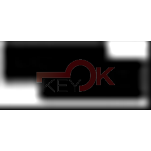 ERREBI - T00YM22P* - AUTO SPECIALI SENZA TRANSPONDER - 23B-OTT