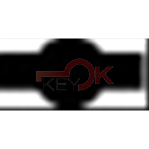 ERREBI - T00YM25P - CAMION SENZA TRANSPONDER - 23A-OTT