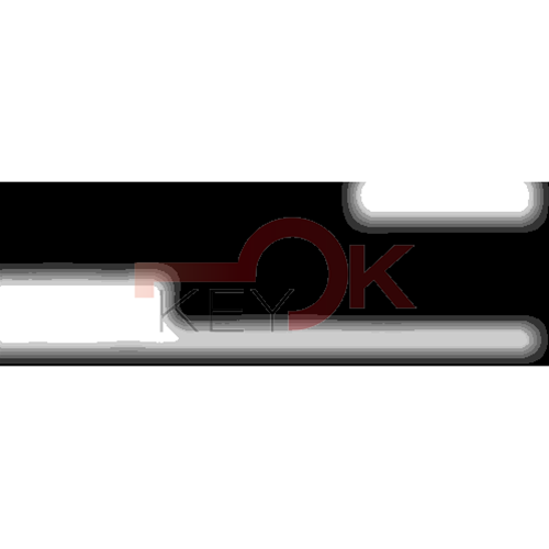 ERREBI - T00YMNFPA - AUTO SENZA TRANSPONDER X RADIOCOMANDO - 23M-ACC