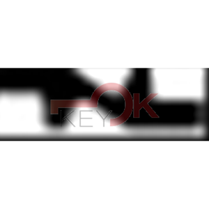 ERREBI - T00ZA19RP - AUTO SENZA TRANSPONDER - 23A-OTT