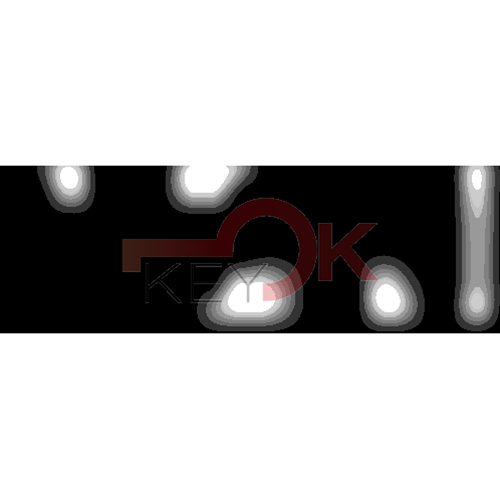 ERREBI - T10* - SPECIALI NAZIONALI - 06A-OTT