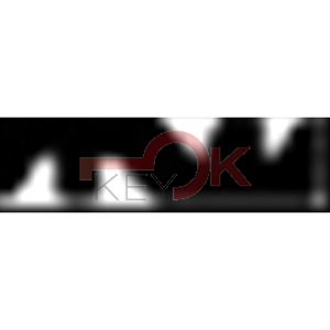 ERREBI - T8R* - SPECIALI NAZIONALI - 06A-OTT