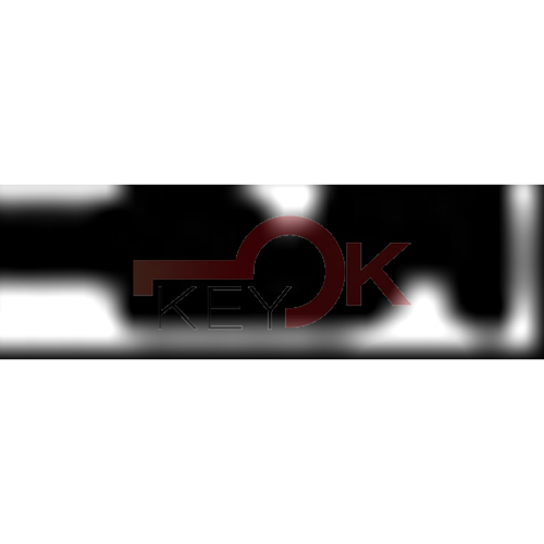 ERREBI - TK19R* - MULTIPROF. E PASS ESTERO - 05B-OTT