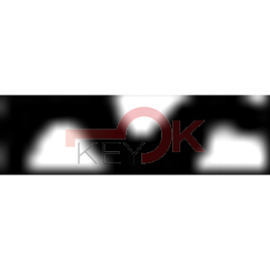 ERREBI - TK22* - MULTIPROF. E PASS ESTERO - 05B-OTT