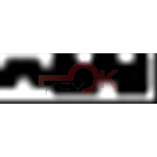 ERREBI - TK25* - MULTIPROF. E PASS ESTERO - 05B-OTT