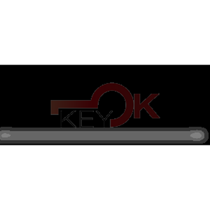 ERREBI - NE81P115. - AUTO SPECIALI ALPACCA TESTA PLAST. - 21A-ALP